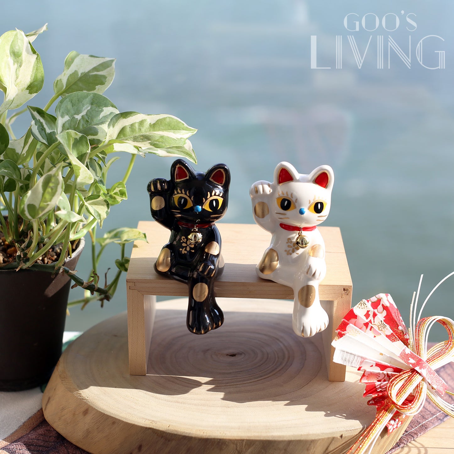 黑白招財長腿貓