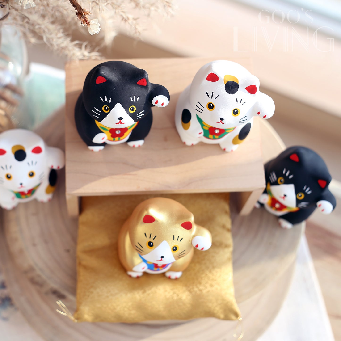 作舍 肥仔招福貓