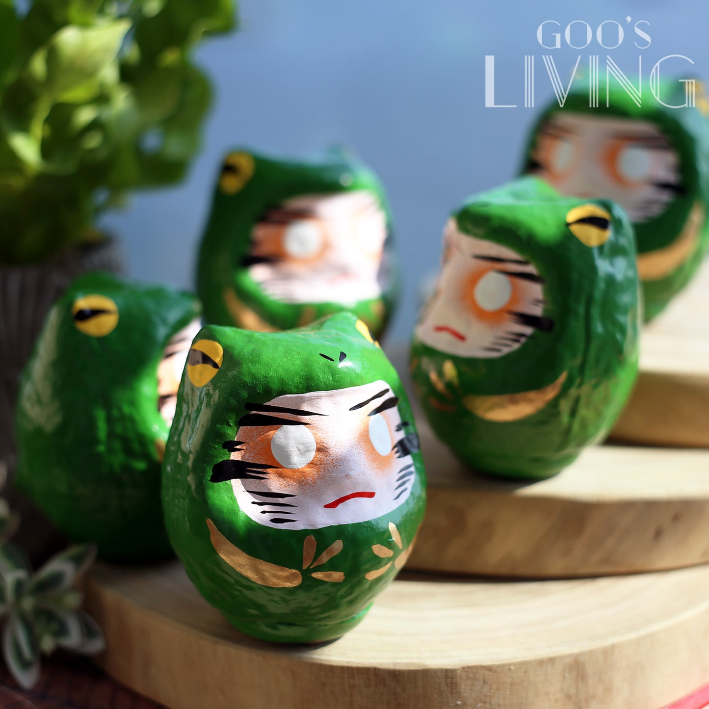 限量特別版 青蛙達摩