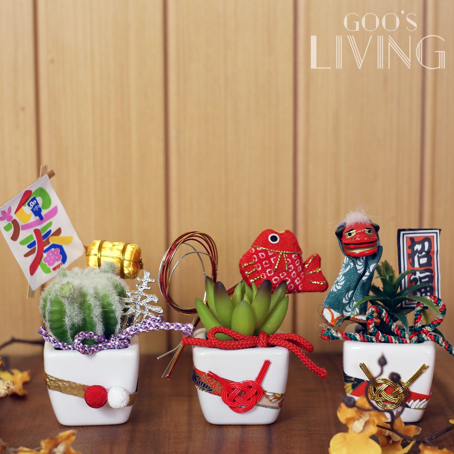 招福多肉植物擺設