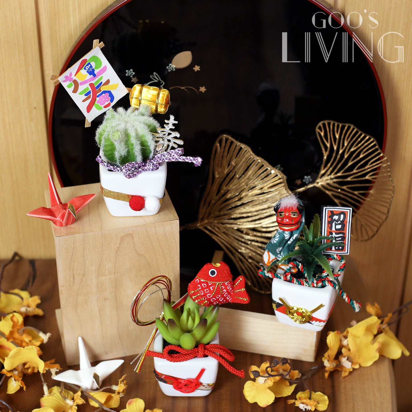 招福多肉植物擺設