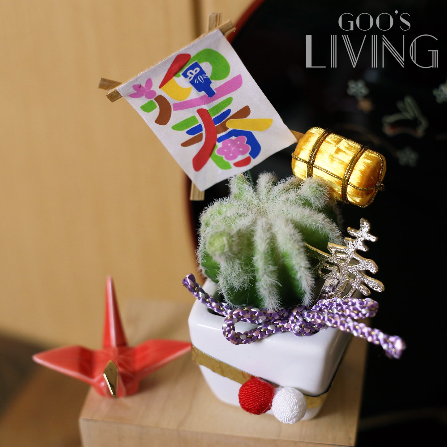 招福多肉植物擺設