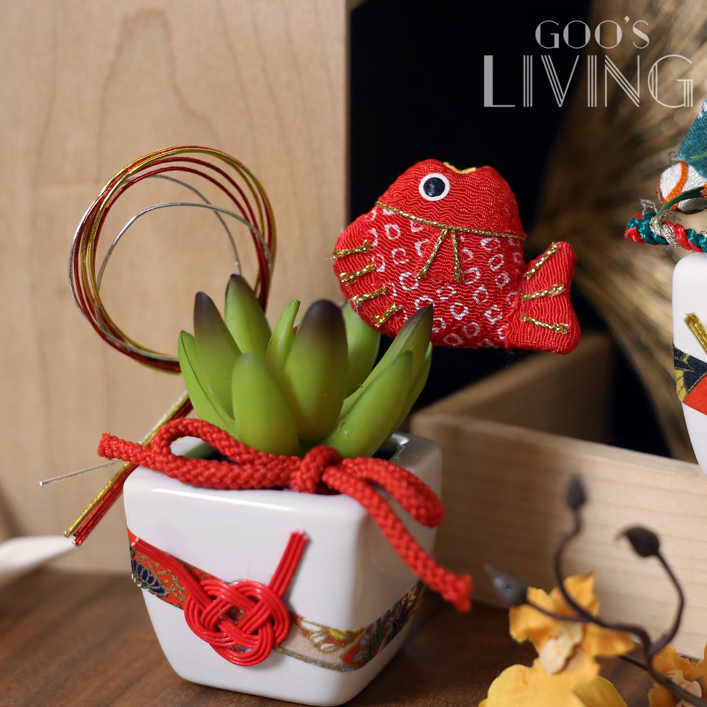 招福多肉植物擺設