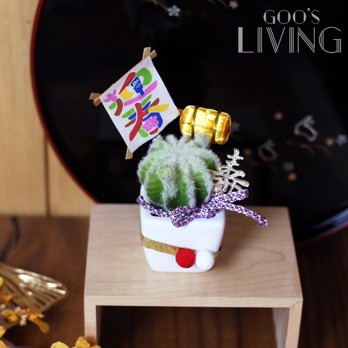 招福多肉植物擺設