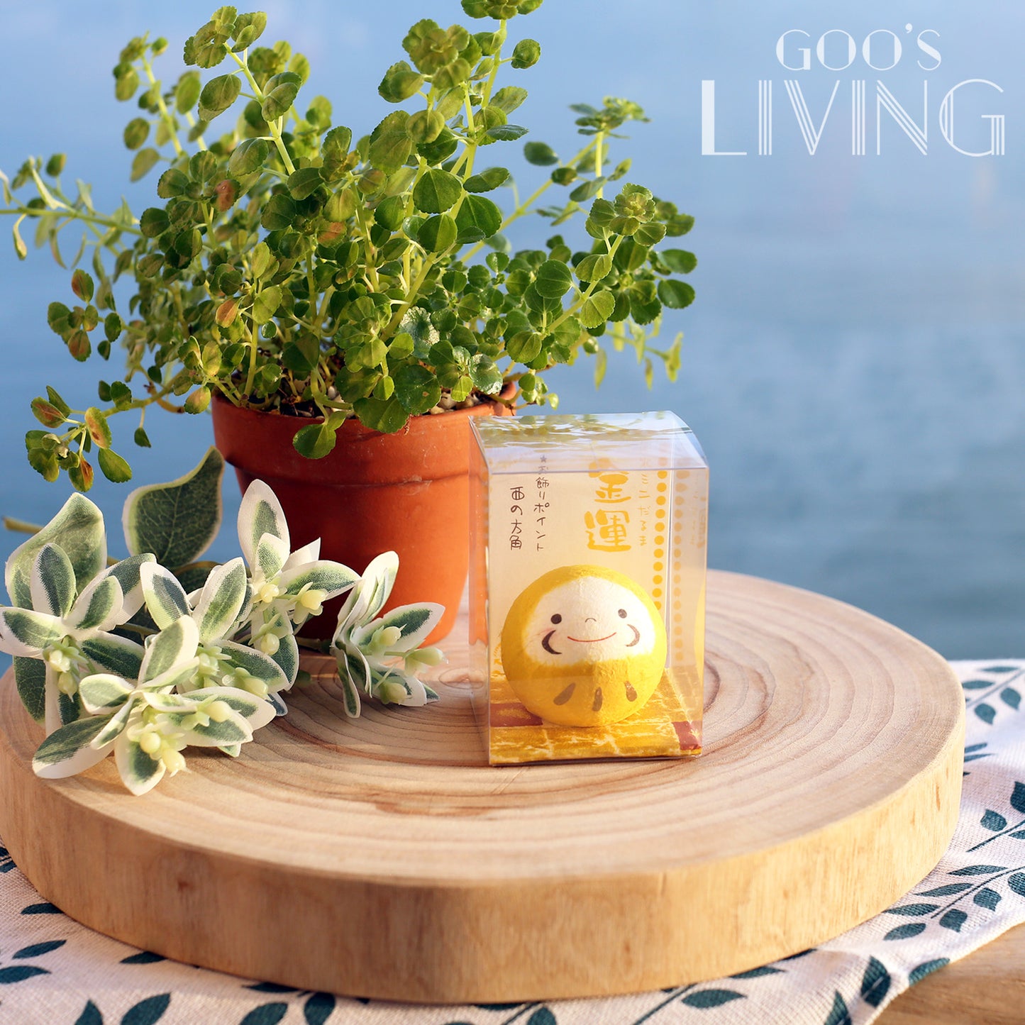 Chigiri 和紙製透明盒小達摩