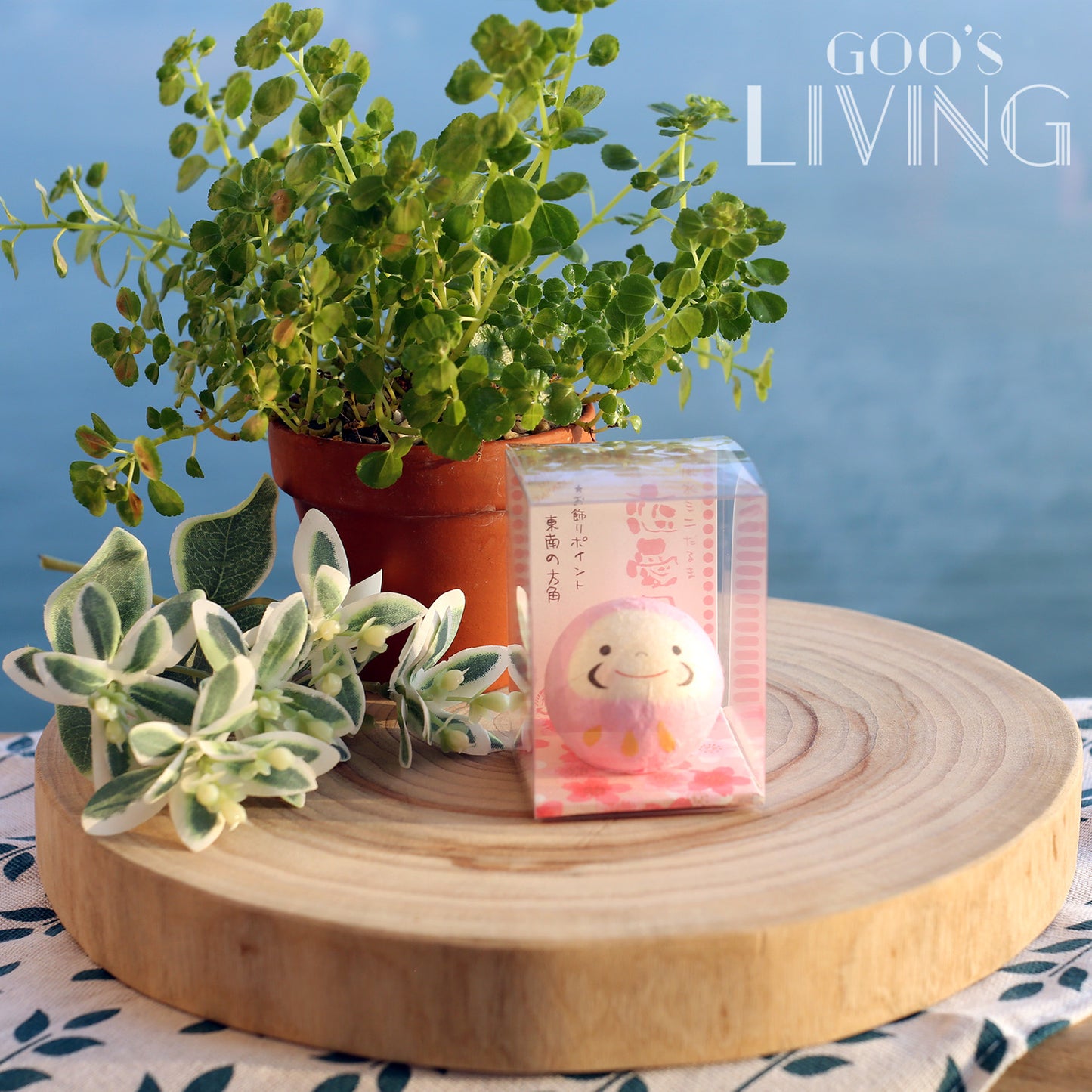 Chigiri 和紙製透明盒小達摩